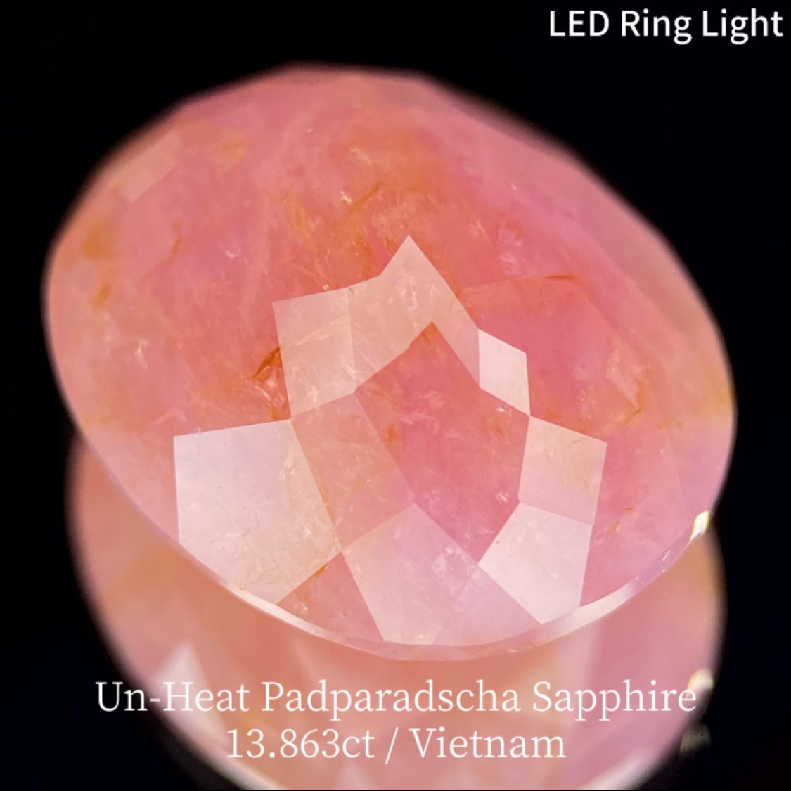 【15万円以上のお買物で無料に】Un-Heat Padparadscha Sapphire 13.683ct / Vietnam