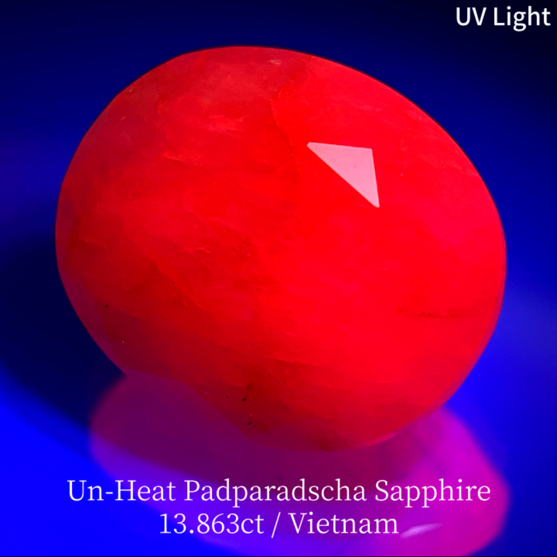 【15万円以上のお買物で無料に】Un-Heat Padparadscha Sapphire 13.683ct / Vietnam