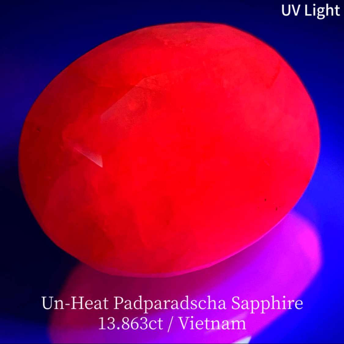 【15万円以上のお買物で無料に】Un-Heat Padparadscha Sapphire 13.683ct / Vietnam
