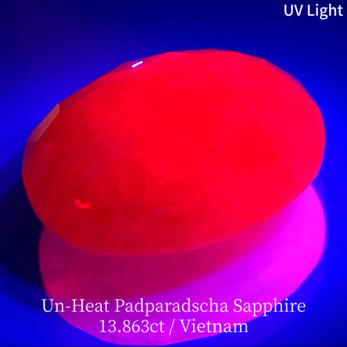 【15万円以上のお買物で無料に】Un-Heat Padparadscha Sapphire 13.683ct / Vietnam
