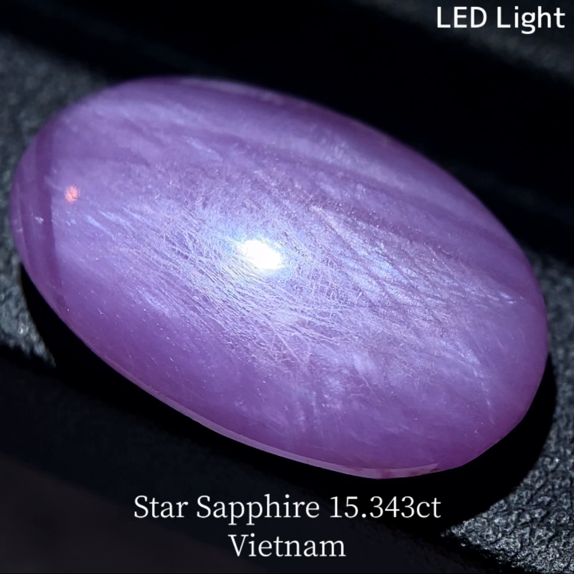 Star Sapphire 15.343ct / Vietnam