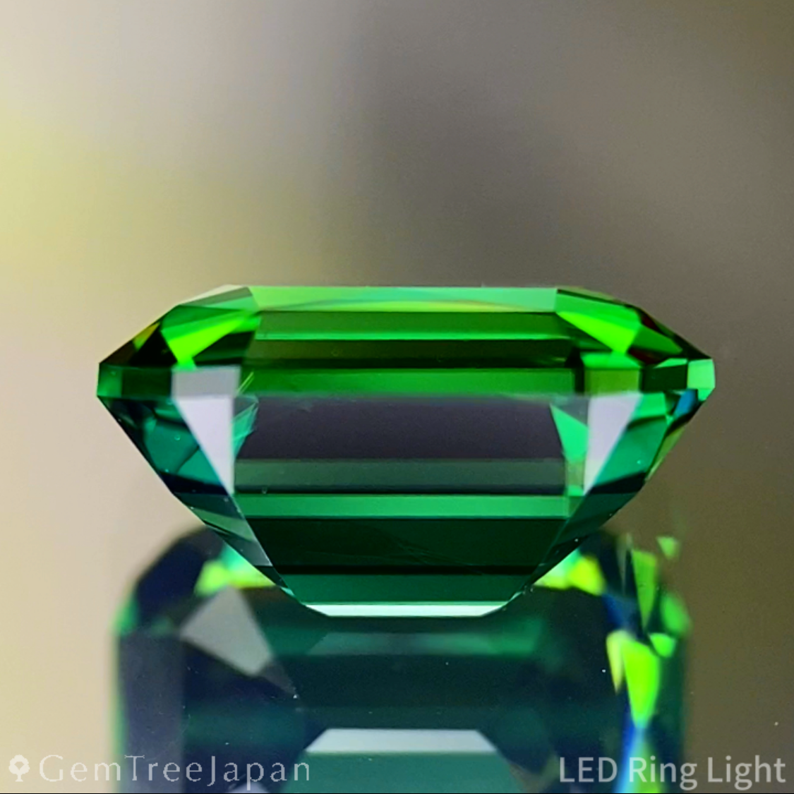 Chrome Tourmaline 1.879ct / Tanzania
