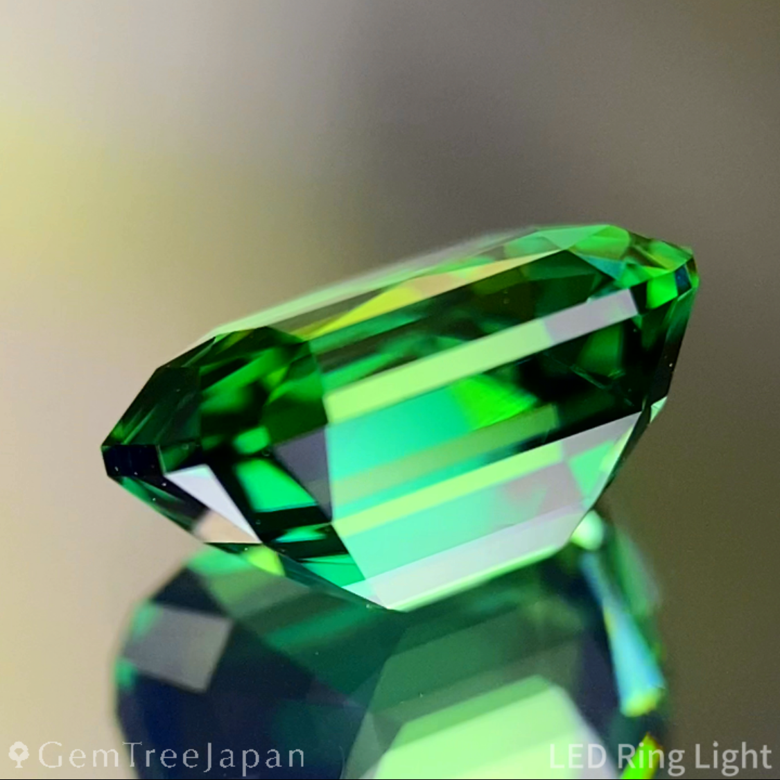 Chrome Tourmaline 1.879ct / Tanzania