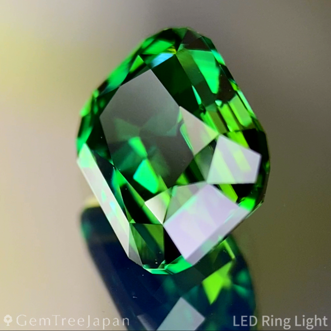 Chrome Tourmaline 1.879ct / Tanzania