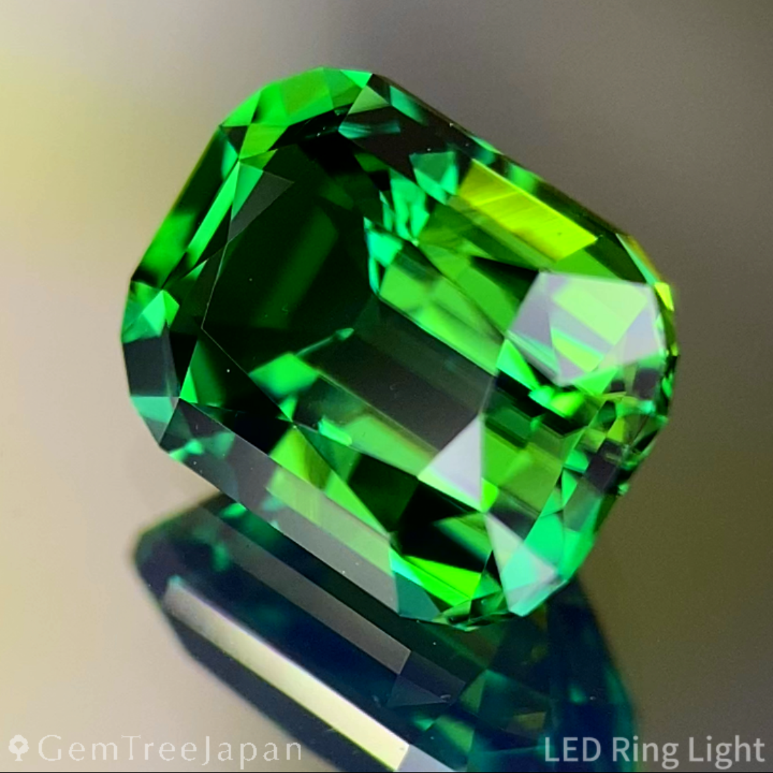 Chrome Tourmaline 1.879ct / Tanzania