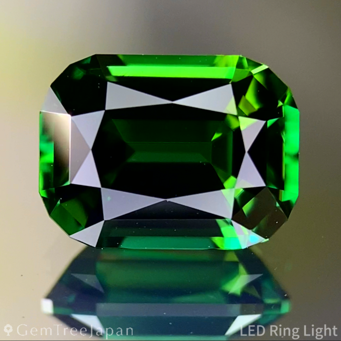 Chrome Tourmaline 1.879ct / Tanzania