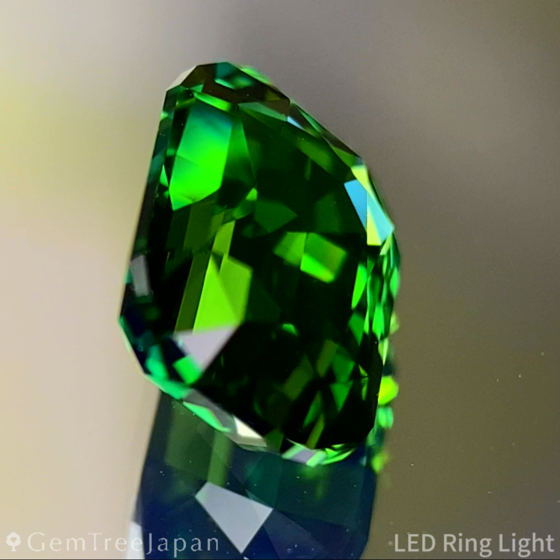Chrome Tourmaline 1.879ct / Tanzania