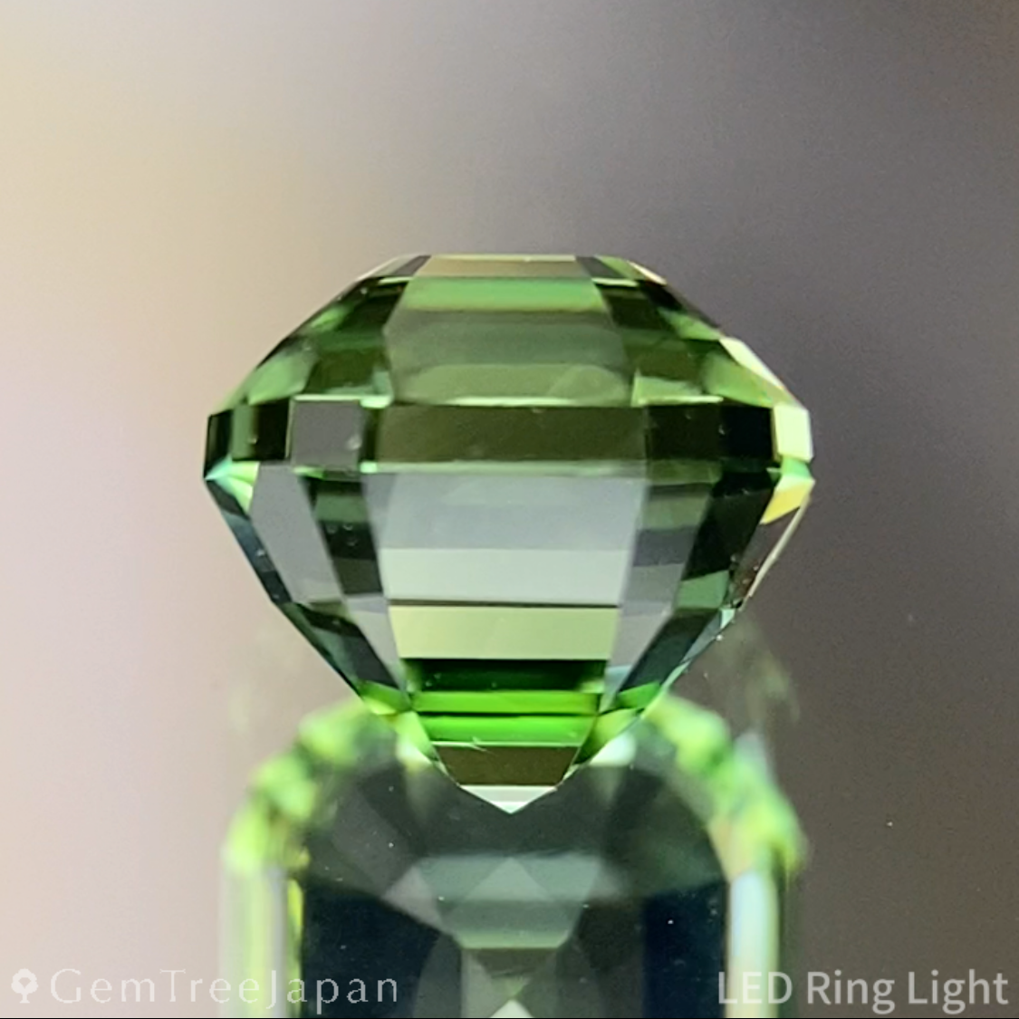 Green Tourmaline 1.260ct / Tanzania