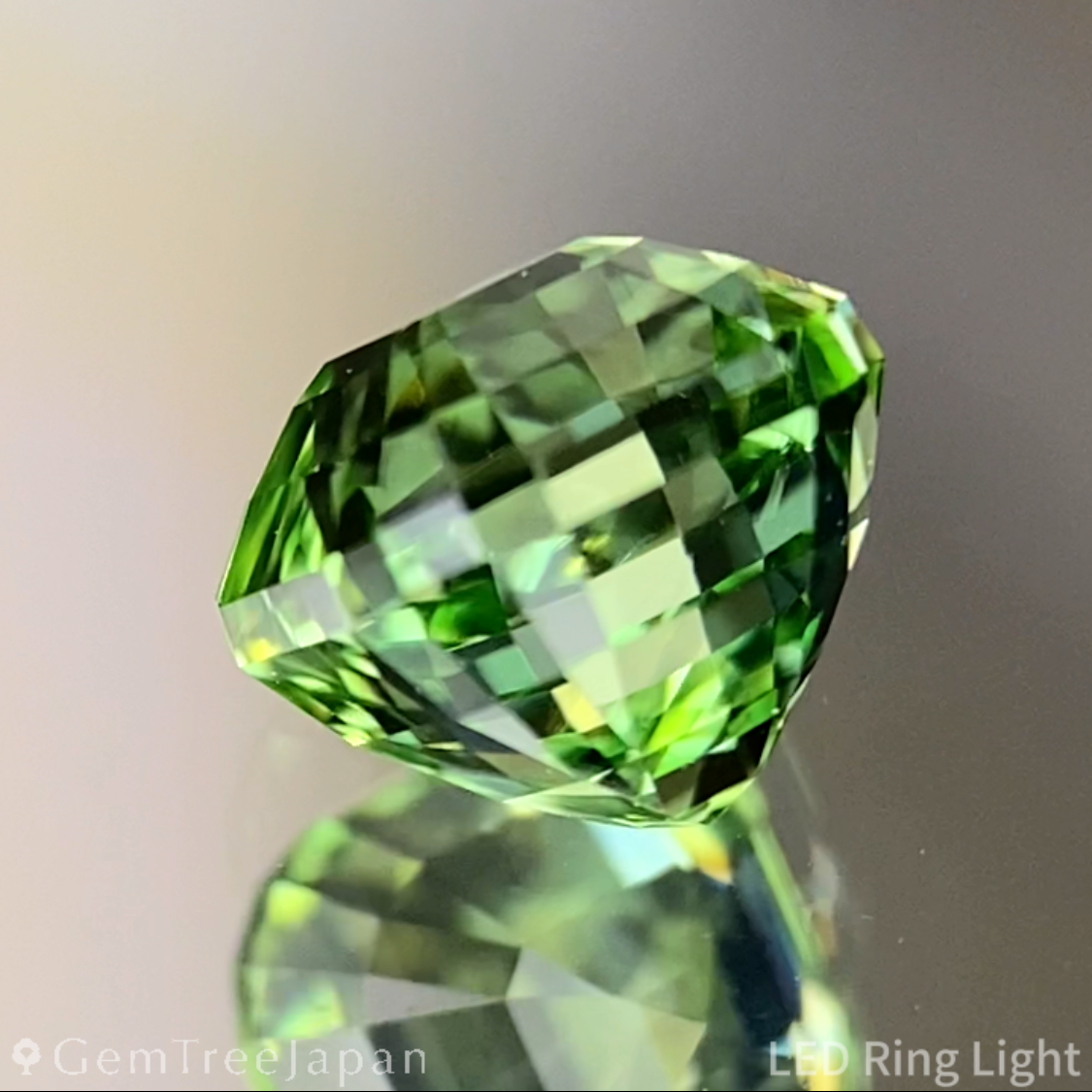 Green Tourmaline 1.260ct / Tanzania