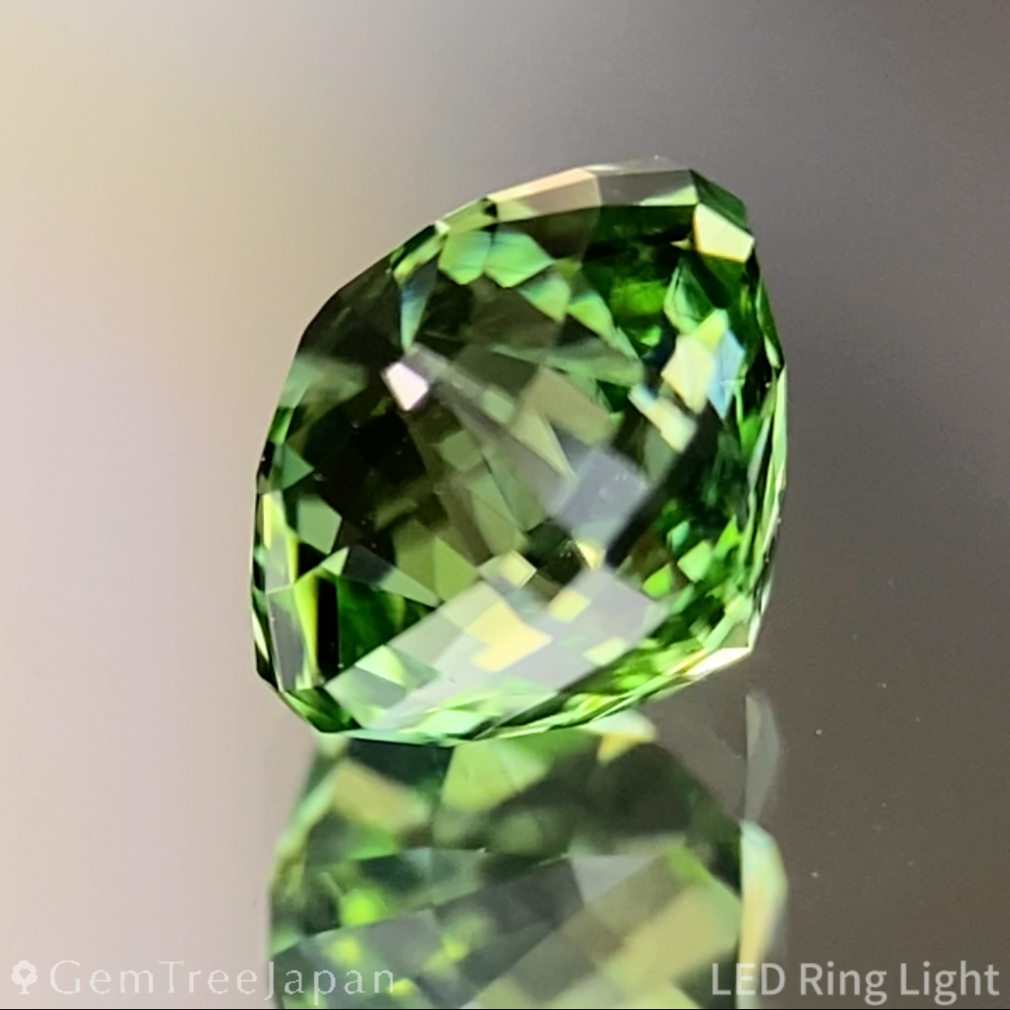 Green Tourmaline 1.260ct / Tanzania