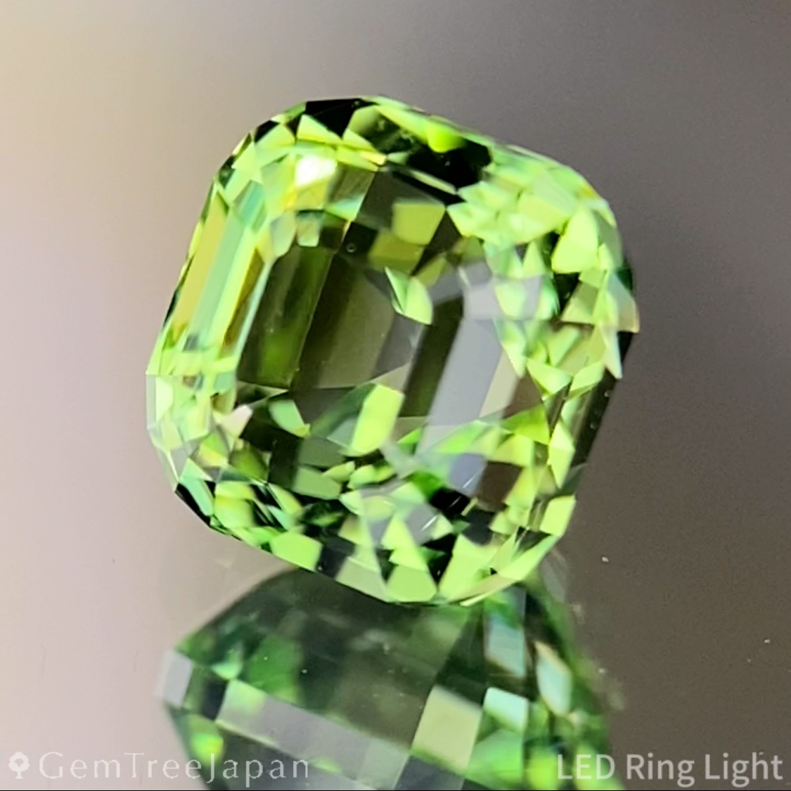Green Tourmaline 1.260ct / Tanzania