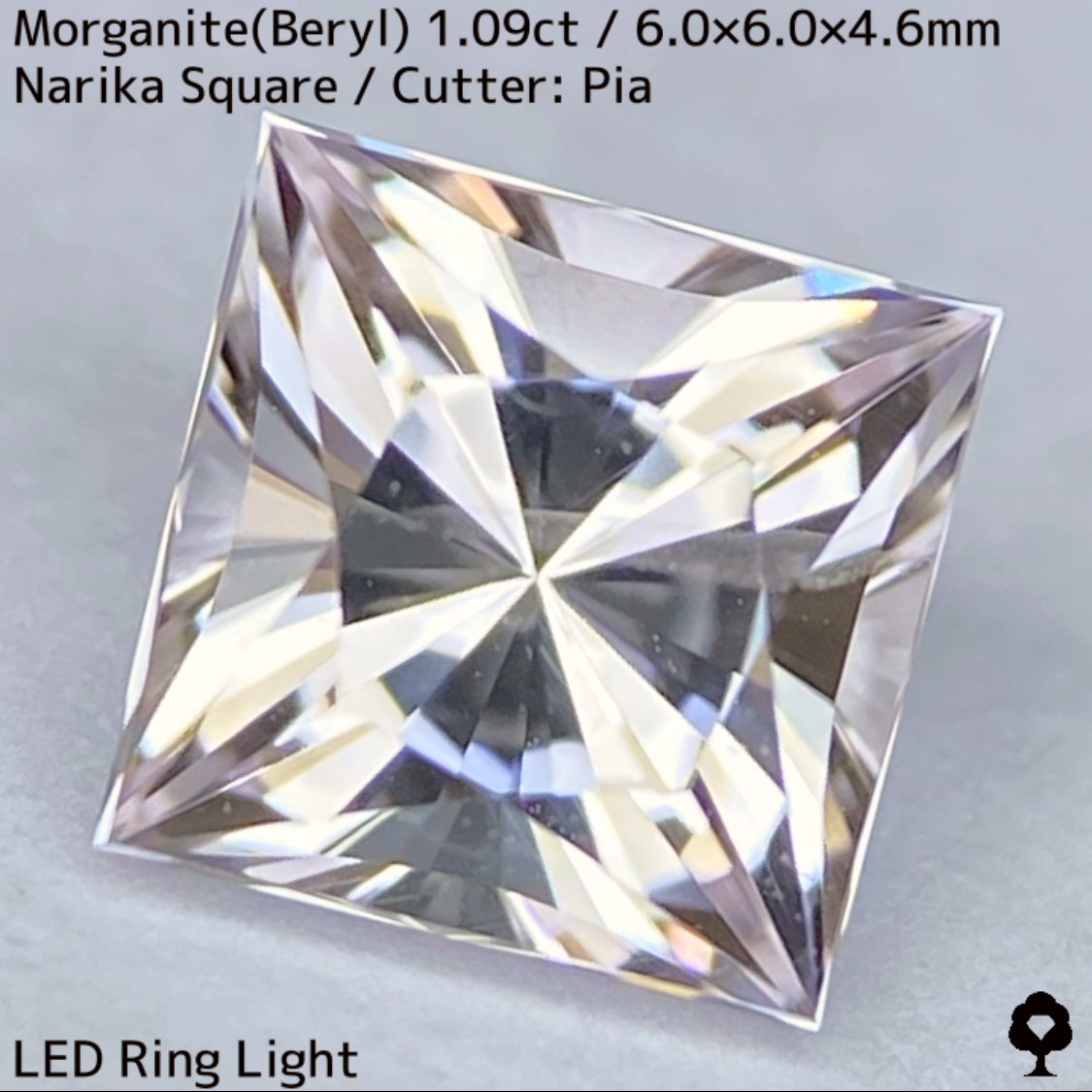 Morganite(Beryl) 1.09ct / Madagascar / Narika