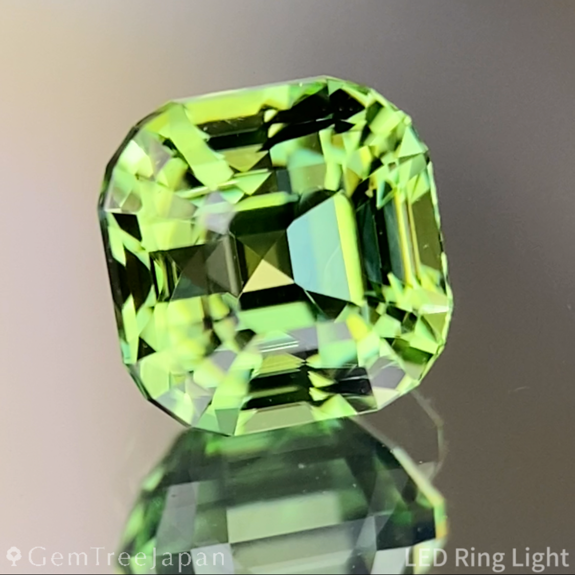 Green Tourmaline 1.260ct / Tanzania