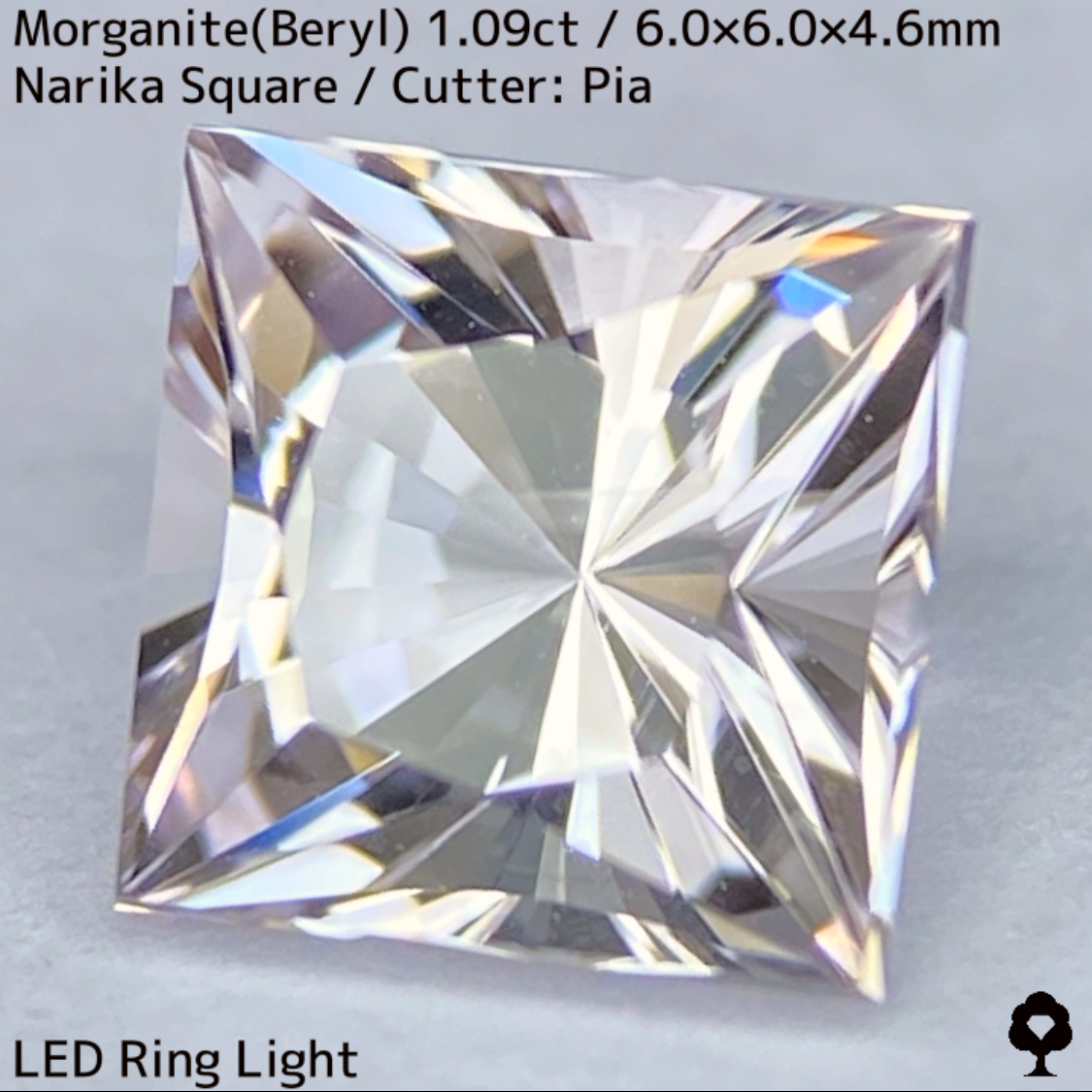 Morganite(Beryl) 1.09ct / Madagascar / Narika
