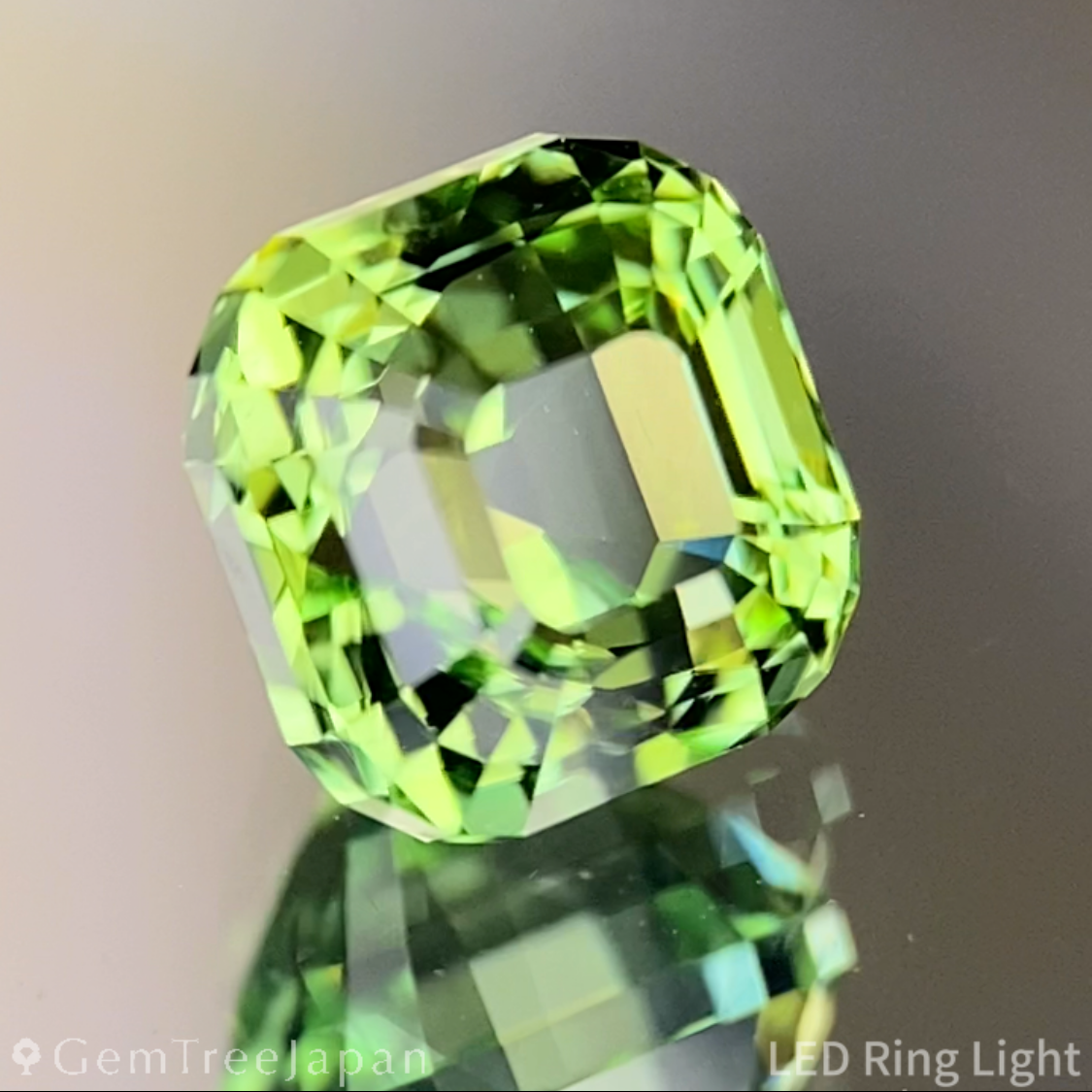Green Tourmaline 1.260ct / Tanzania