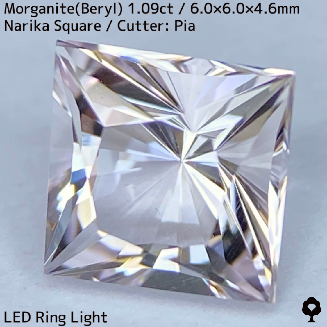 Morganite(Beryl) 1.09ct / Madagascar / Narika