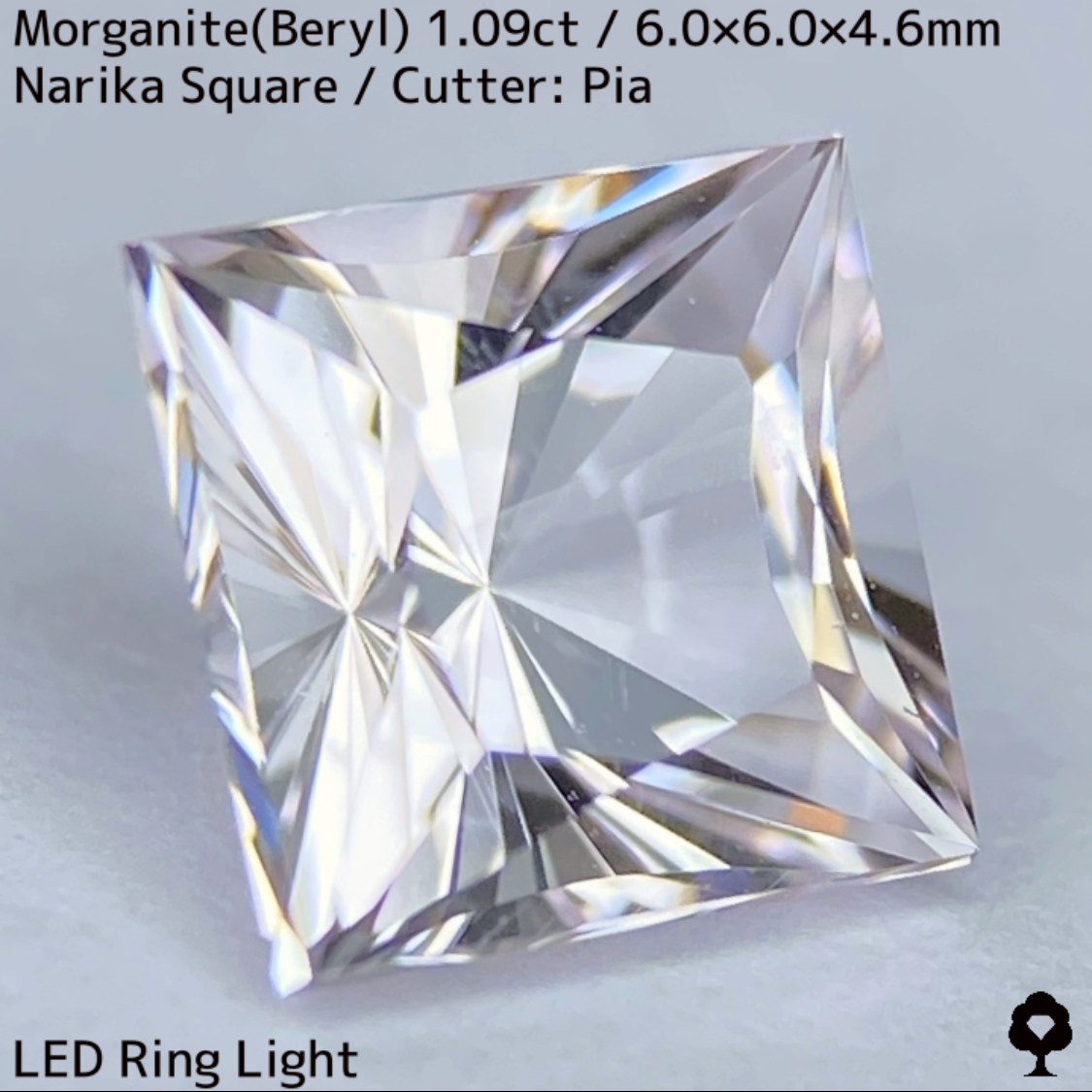 Morganite(Beryl) 1.09ct / Madagascar / Narika