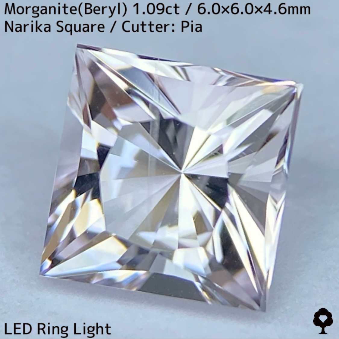 Morganite(Beryl) 1.09ct / Madagascar / Narika