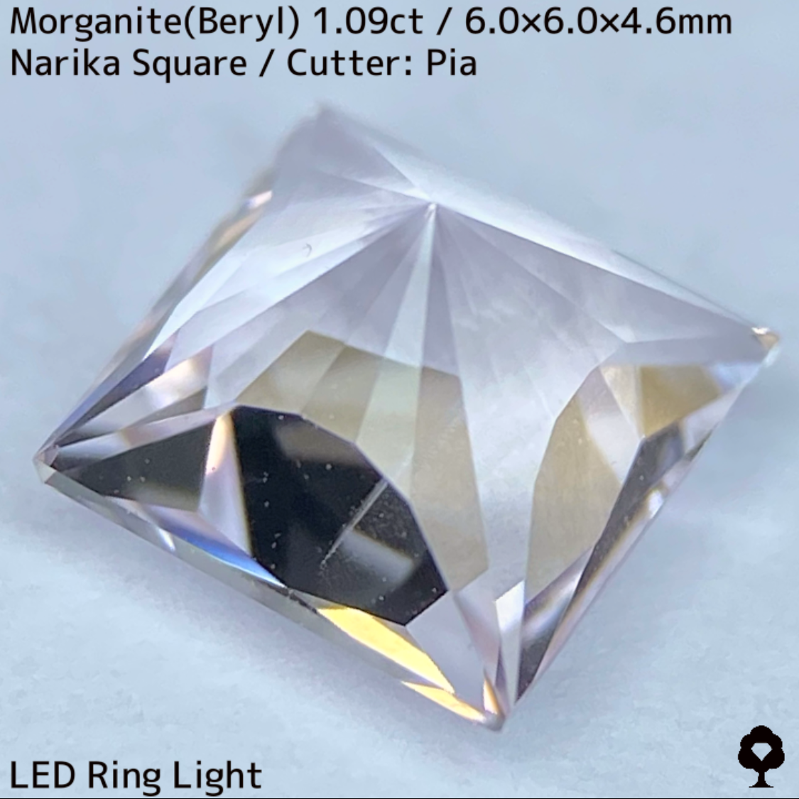 Morganite(Beryl) 1.09ct / Madagascar / Narika