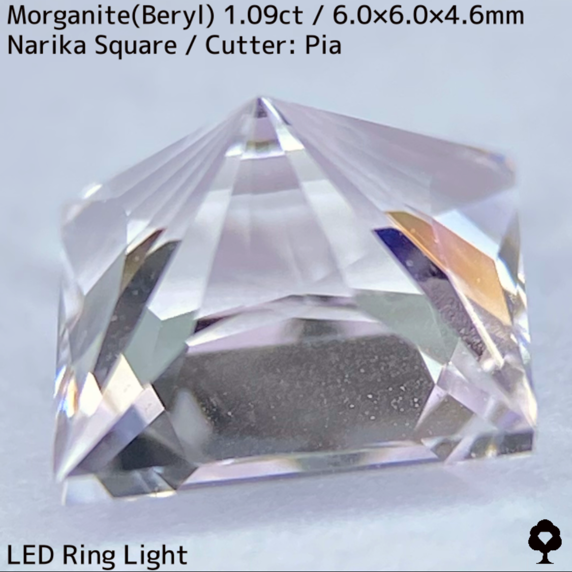 Morganite(Beryl) 1.09ct / Madagascar / Narika