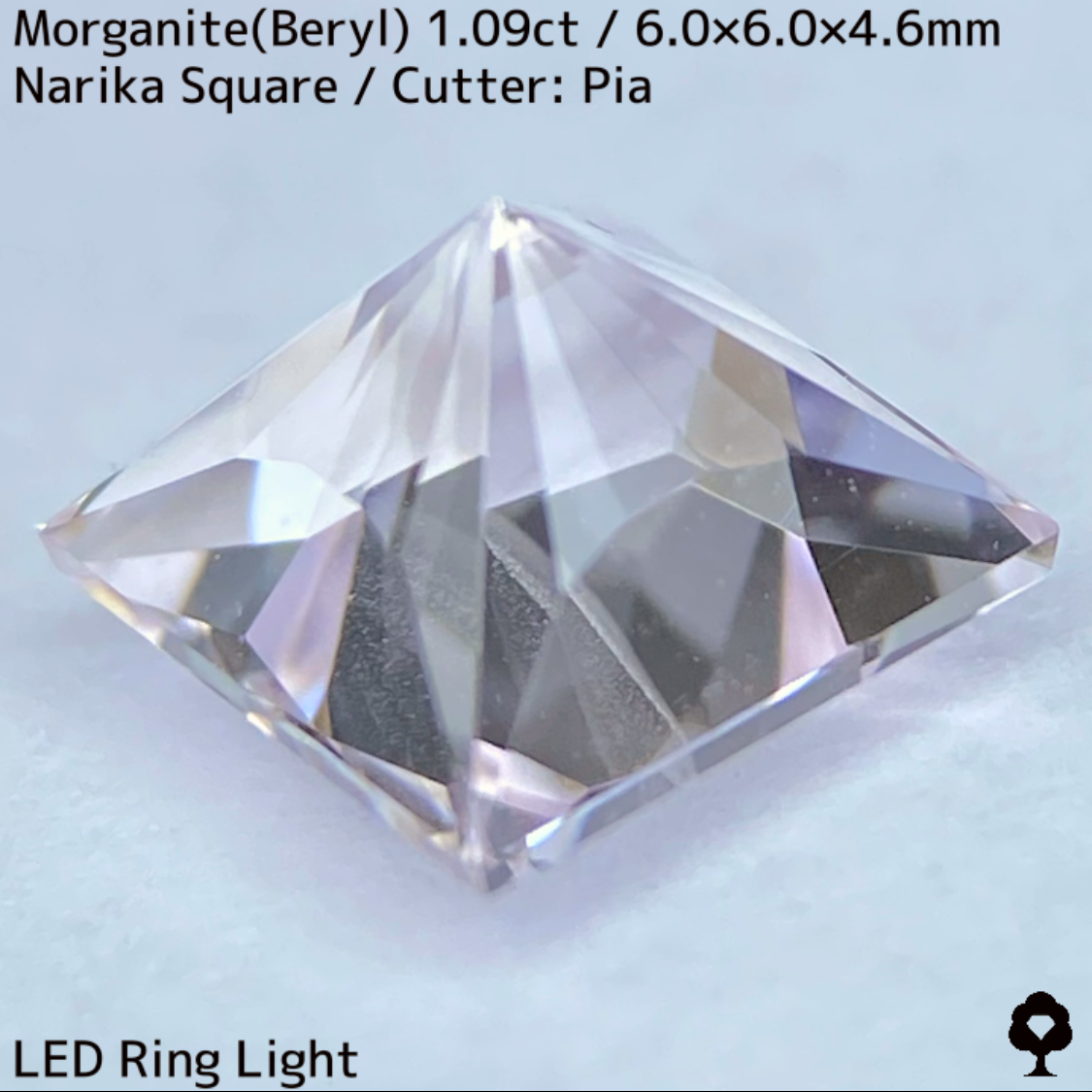 Morganite(Beryl)1.09ct / Madagascar / Narika