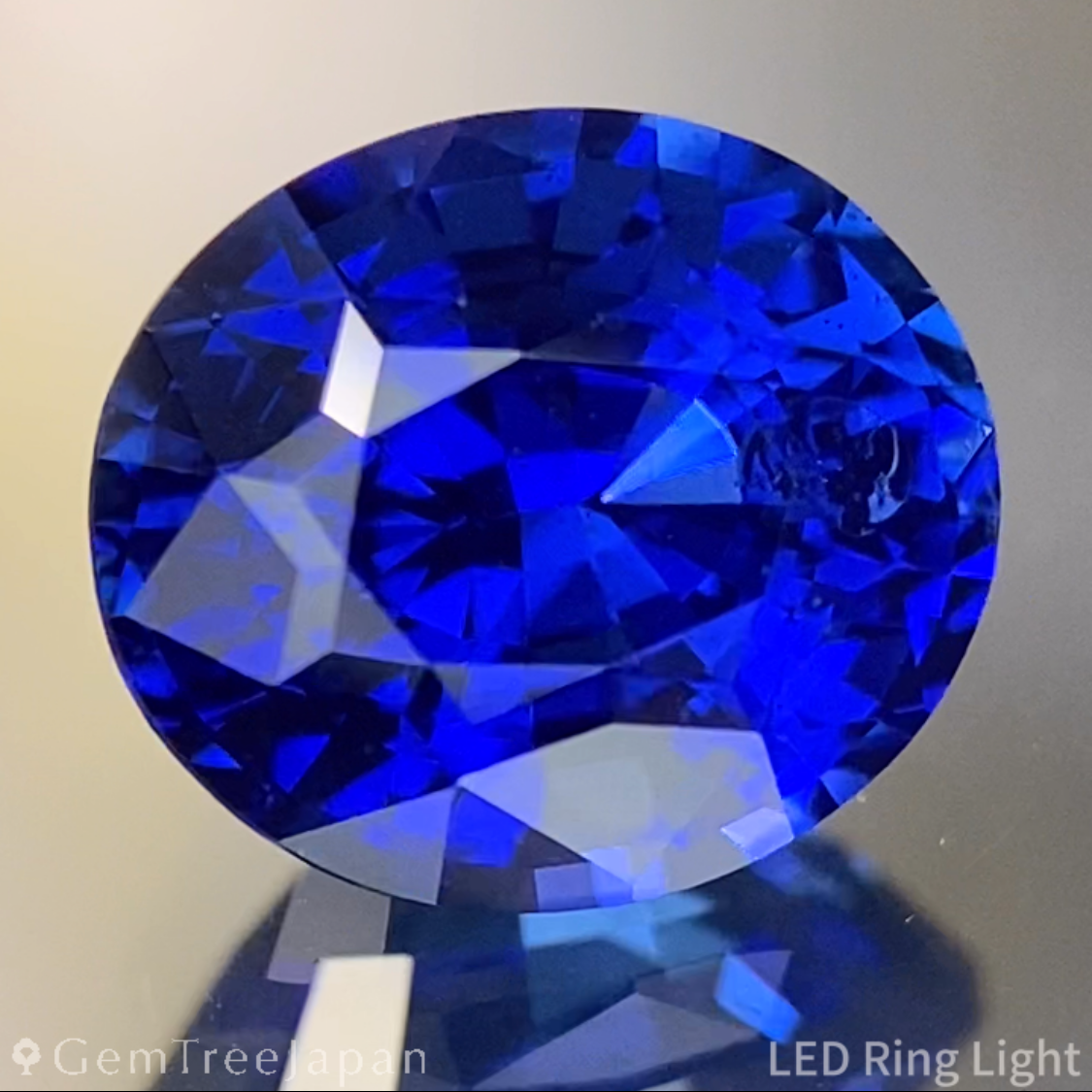 Royal Blue Sapphire 2.144ct / Sri Lanka