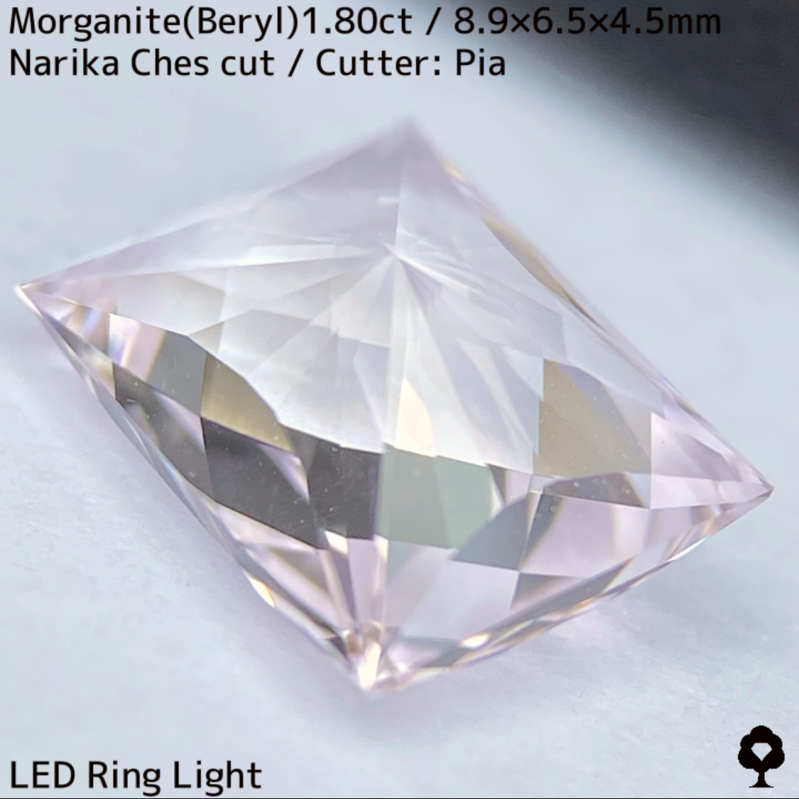 Morganite(Beryl) 1.80ct / Chess Narika
