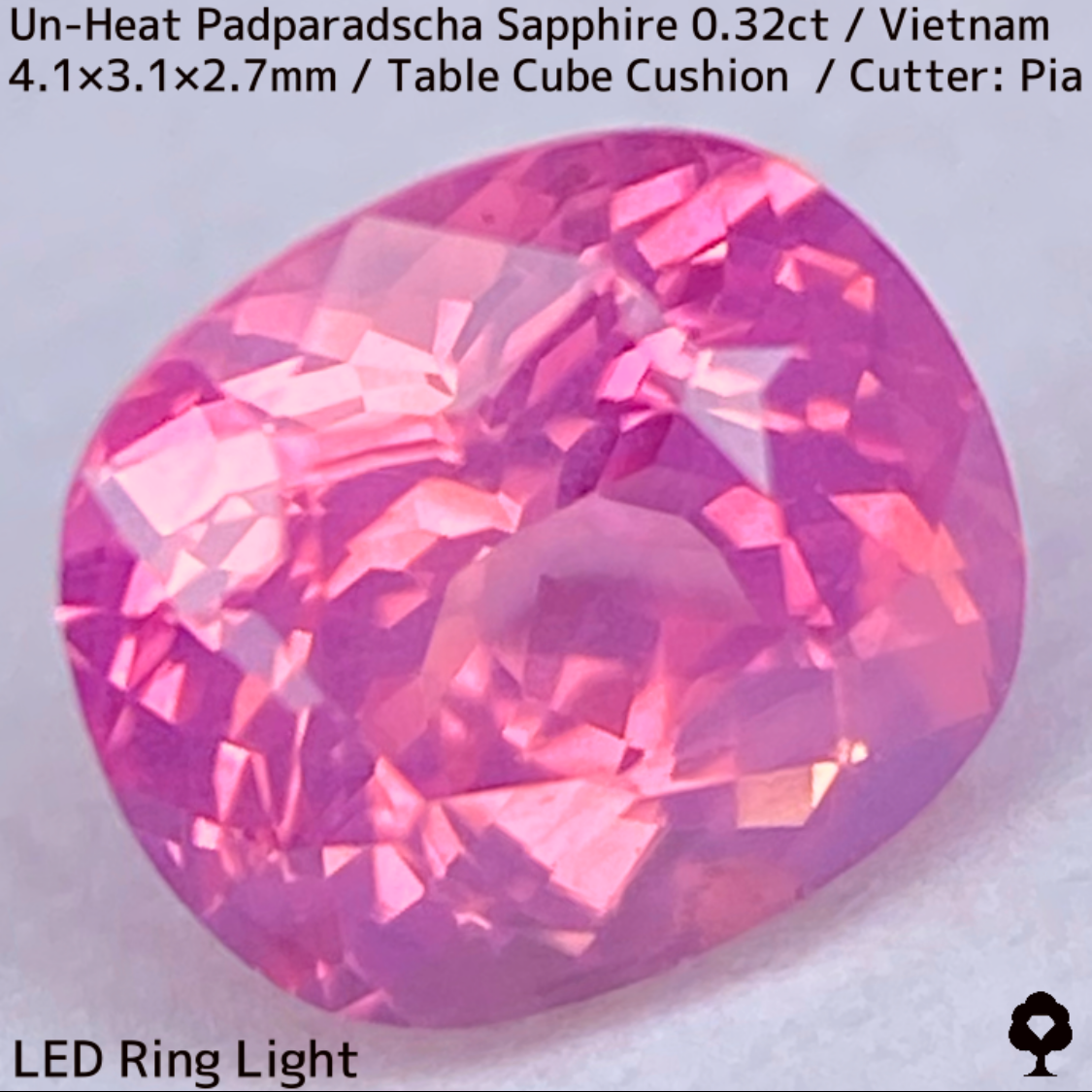 Un-Heat Padparadscha Sapphire 0.32ct / Vietnam