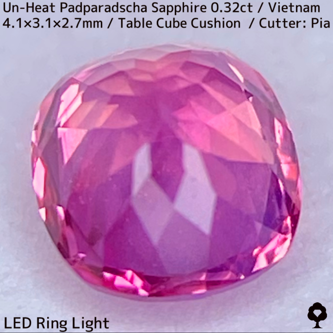 Un-Heat Padparadscha Sapphire 0.32ct / Vietnam