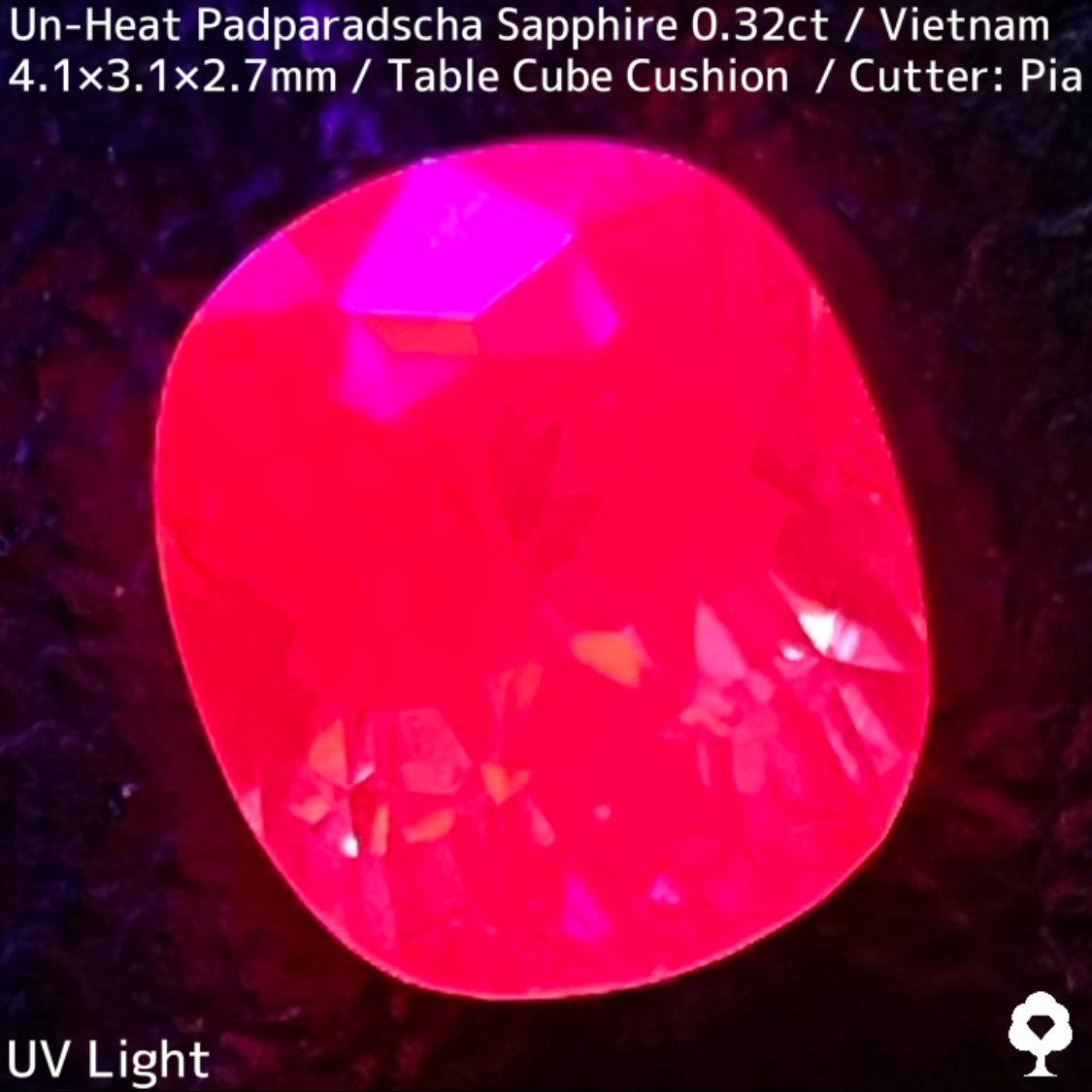 Un-Heat Padparadscha Sapphire 0.32ct / Vietnam