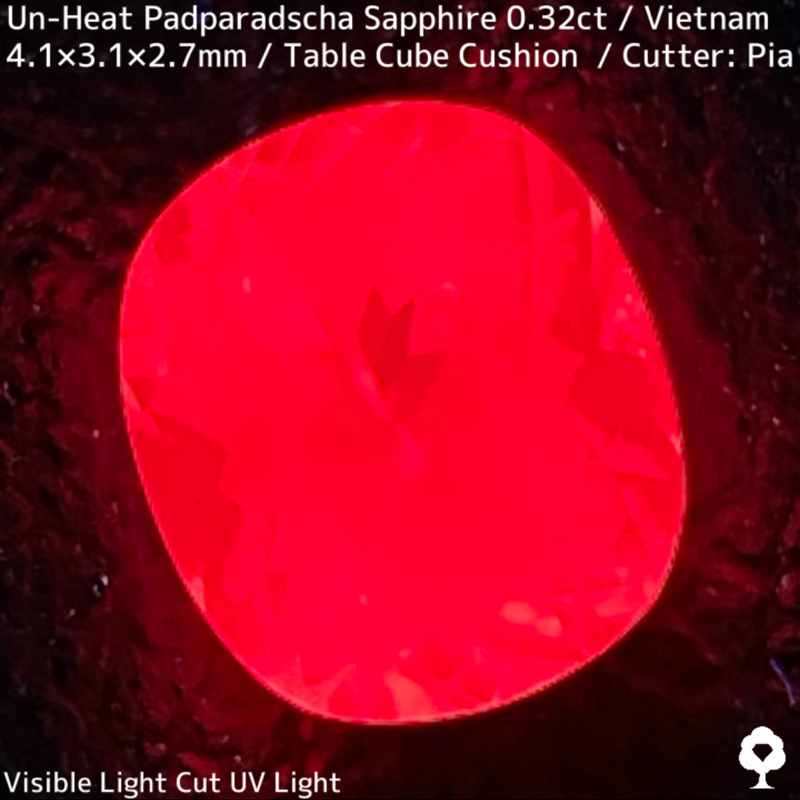 Un-Heat Padparadscha Sapphire 0.32ct / Vietnam