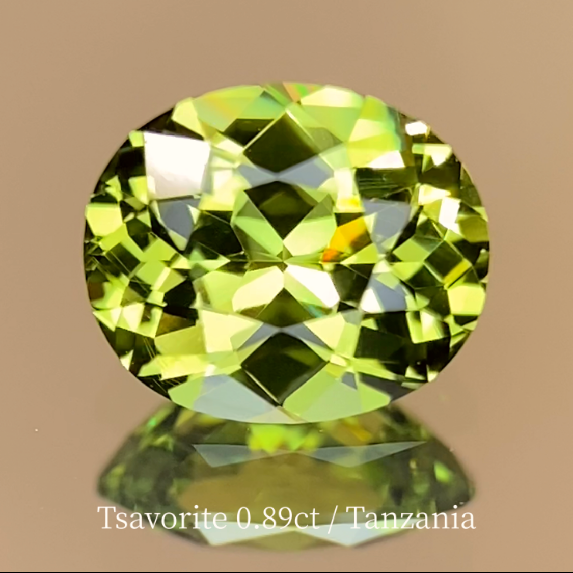 Tsavorite (Grossular Garnet) 0.897ct / Tanzania