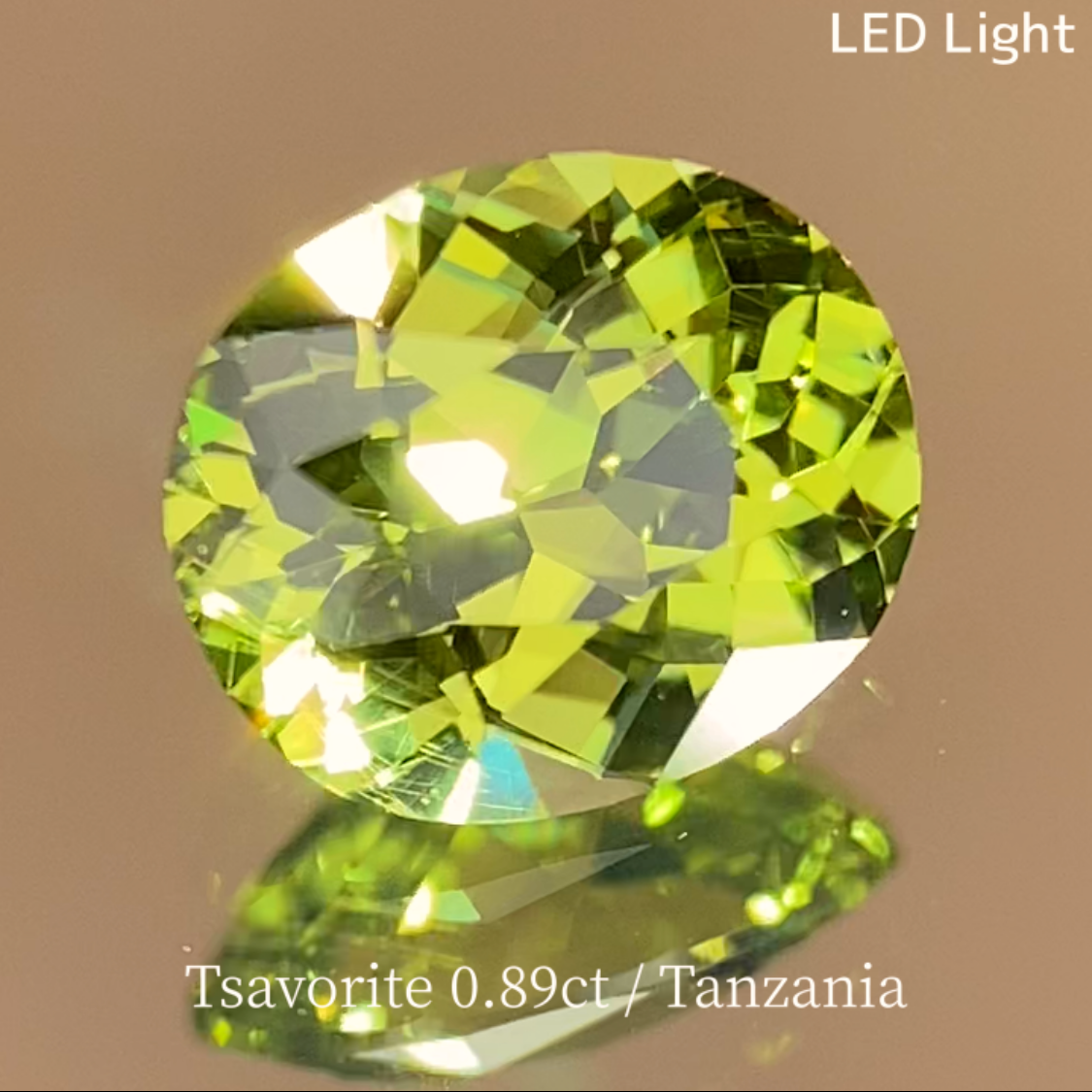 Tsavorite (Grossular Garnet) 0.897ct / Tanzania
