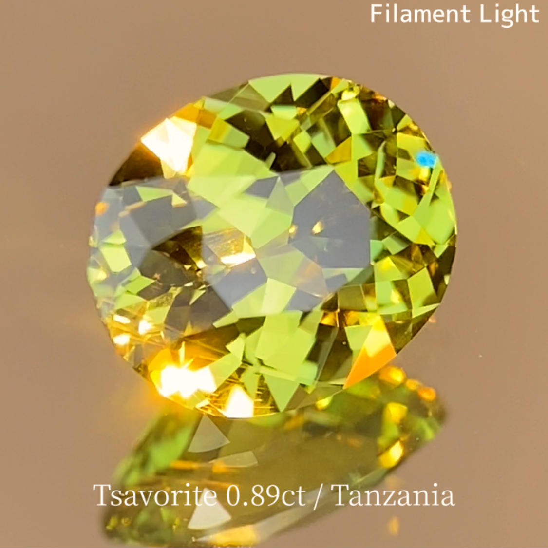 Tsavorite (Grossular Garnet) 0.897ct / Tanzania