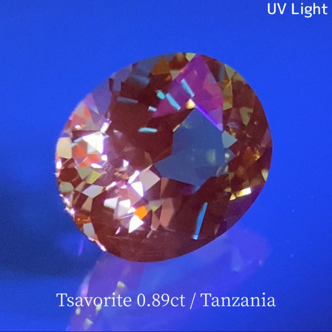 Tsavorite (Grossular Garnet) 0.897ct / Tanzania