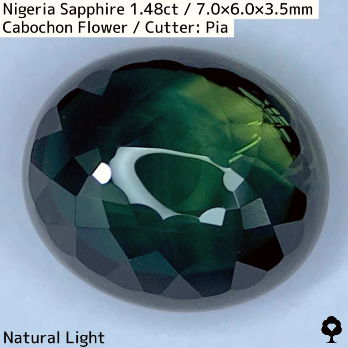 Nigeria Sapphire 1.483ct / Cabochon Flower