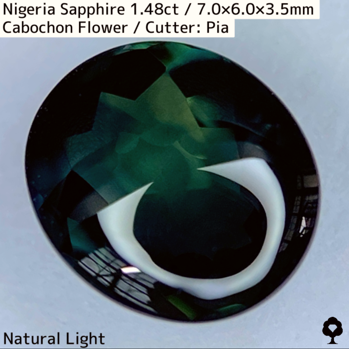 Nigeria Sapphire 1.483ct / Cabochon Flower