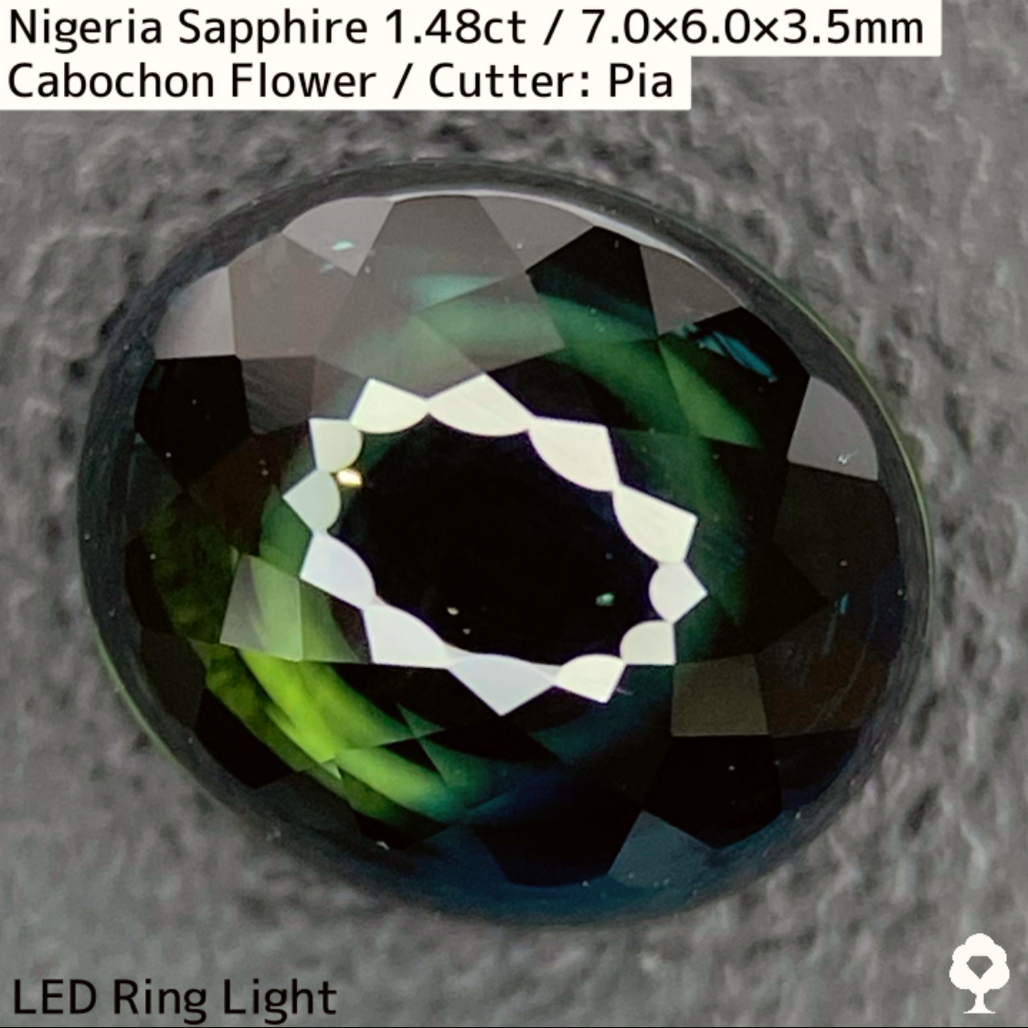 Nigeria Sapphire 1.483ct / Cabochon Flower