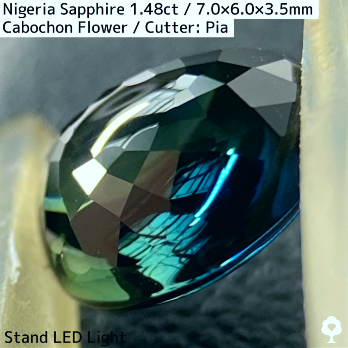 Nigeria Sapphire 1.483ct / Cabochon Flower
