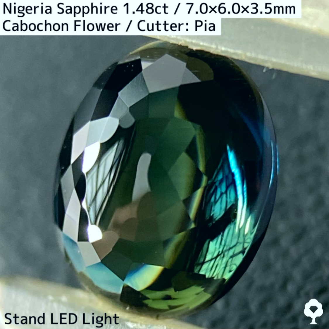Nigeria Sapphire 1.483ct / Cabochon Flower