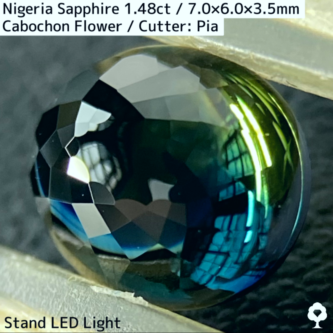 Nigeria Sapphire 1.483ct / Cabochon Flower