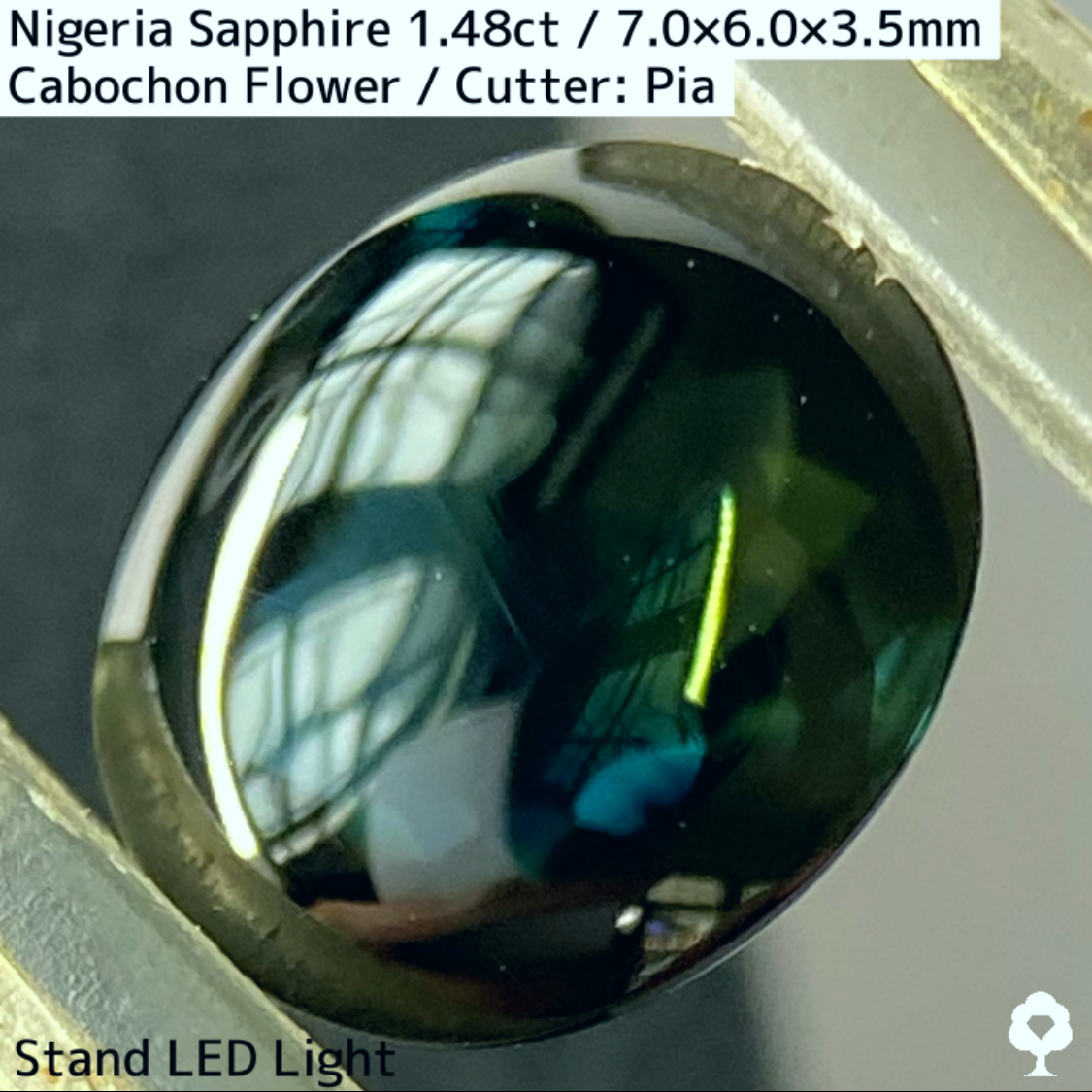 Nigeria Sapphire 1.483ct / Cabochon Flower
