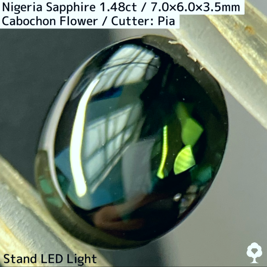 Nigeria Sapphire 1.483ct / Cabochon Flower
