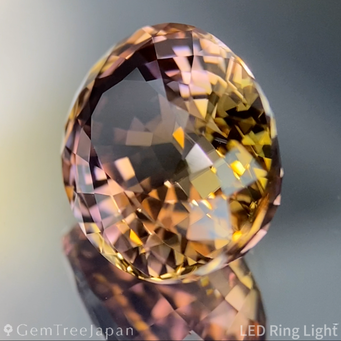 【Nori's Gem】Parti-Color Tourmaline 5.452ct / Brazil