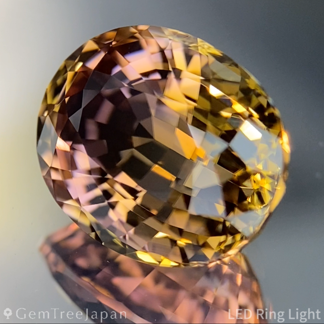 【Nori's Gem】Parti-Color Tourmaline 5.452ct / Brazil
