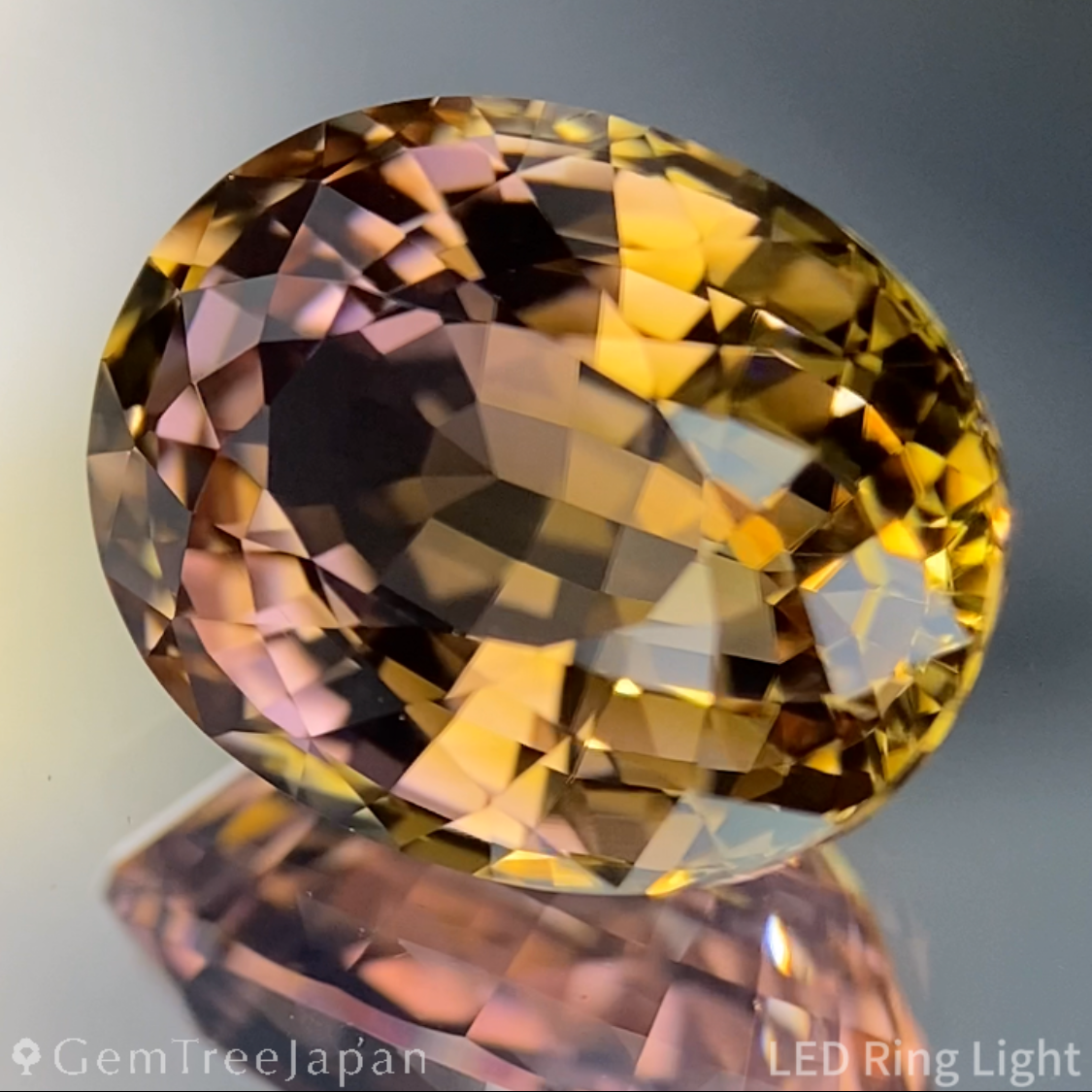 【Nori's Gem】Parti-Color Tourmaline 5.452ct / Brazil