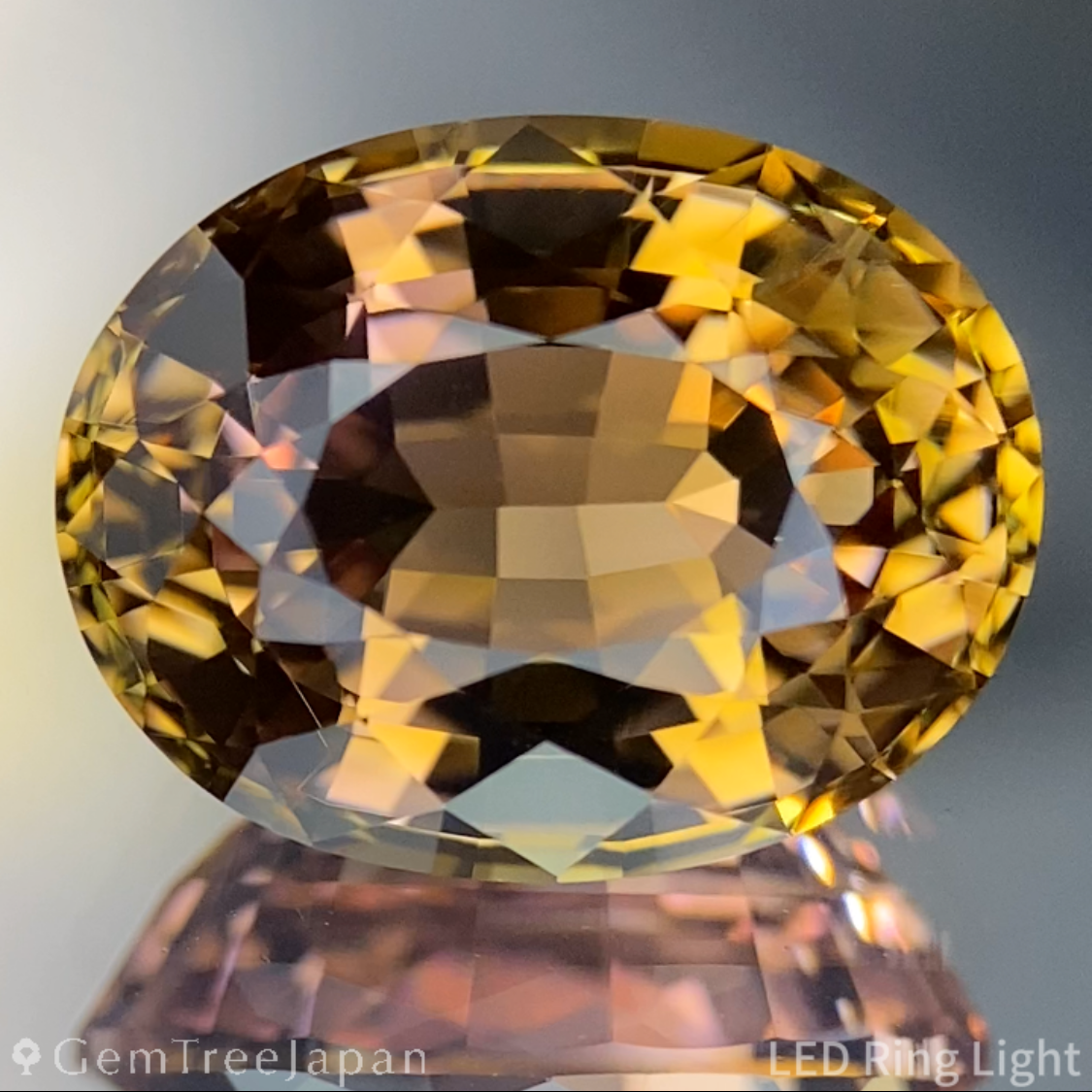 【Nori's Gem】Parti-Color Tourmaline 5.452ct / Brazil