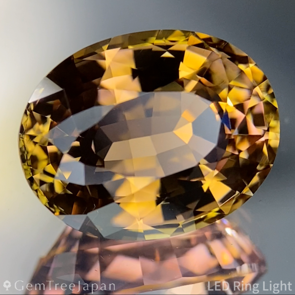 【Nori's Gem】Parti-Color Tourmaline 5.452ct / Brazil