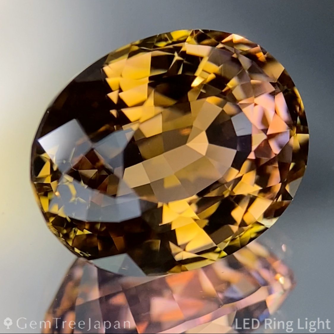 【Nori's Gem】Parti-Color Tourmaline 5.452ct / Brazil