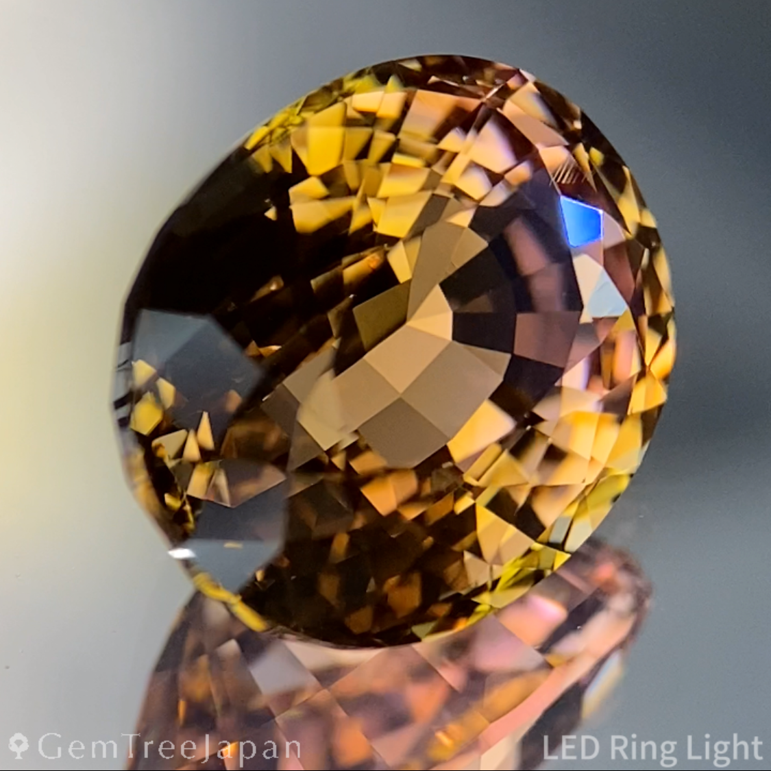 【Nori's Gem】Parti-Color Tourmaline 5.452ct / Brazil